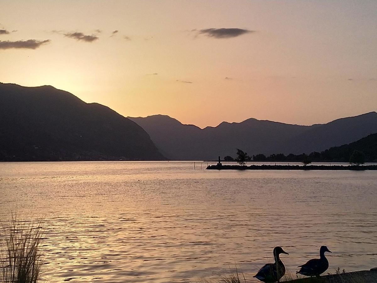 פאראטיקו Lake View Terrace מראה חיצוני תמונה