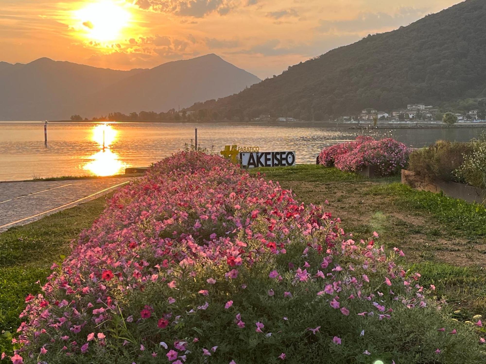 פאראטיקו Lake View Terrace מראה חיצוני תמונה